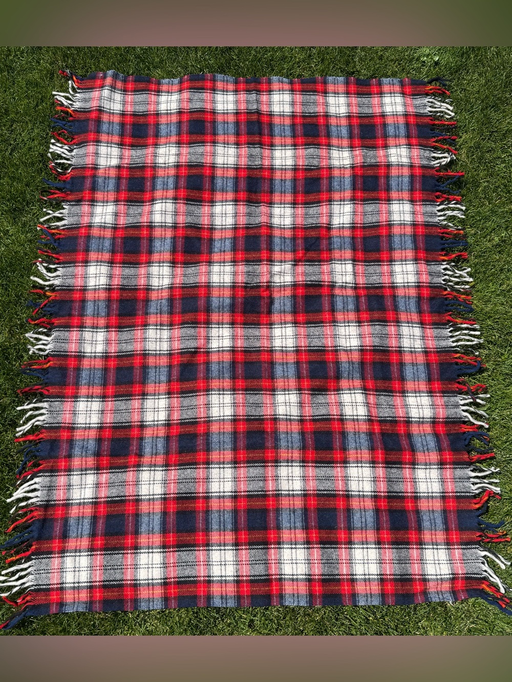 Vintage Troy Leisure Wool Blanket 55x51 With Tassles and original Carrying Bag